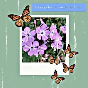 Everything must go!!!❣️